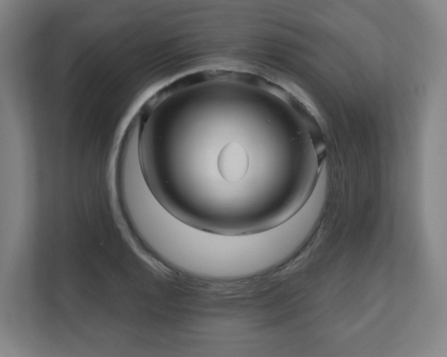 X0000110881128200906251243