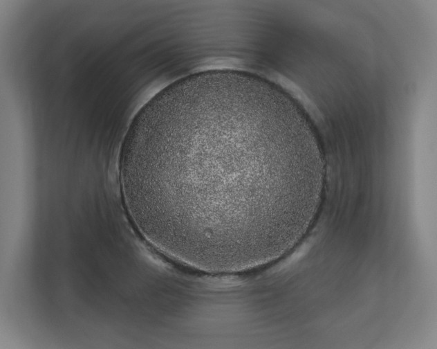 X0000110881129200906251243