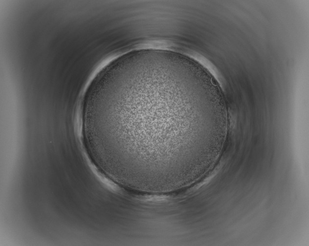 X0000110881131200906251243