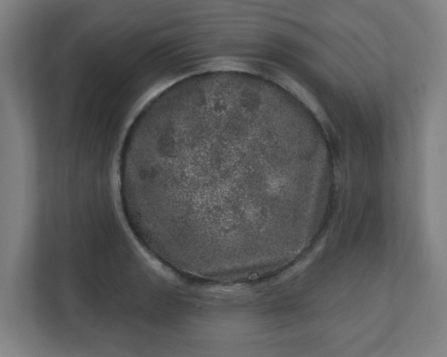 X0000110881133200906251243