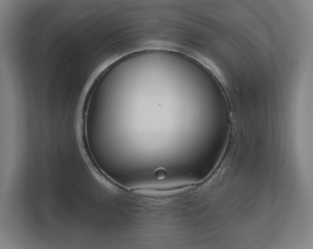 X0000110881136200906251243