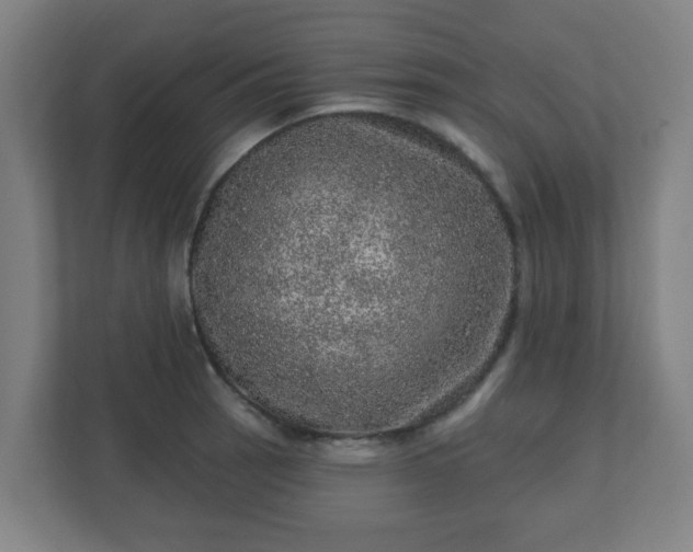 X0000110881137200906251243