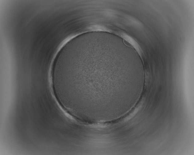X0000110881141200906251243