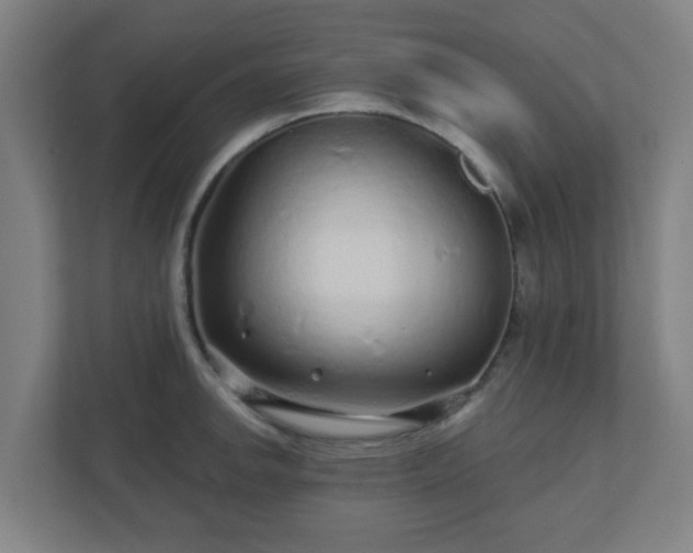 X0000110881142200906251243
