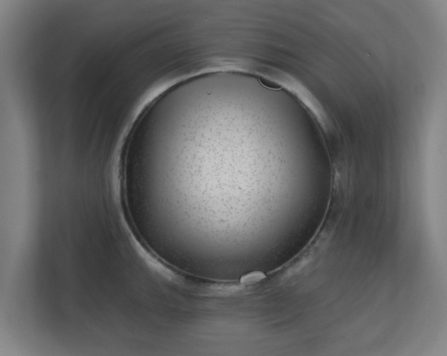 X0000110881143200906251243