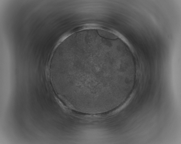 X0000110881145200906251243