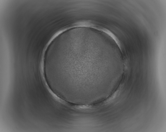 X0000110881147200906251243