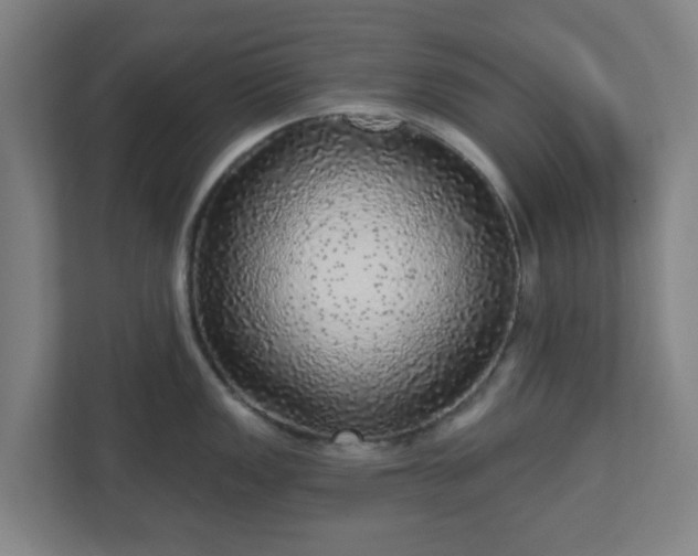 X0000110881149200906251243