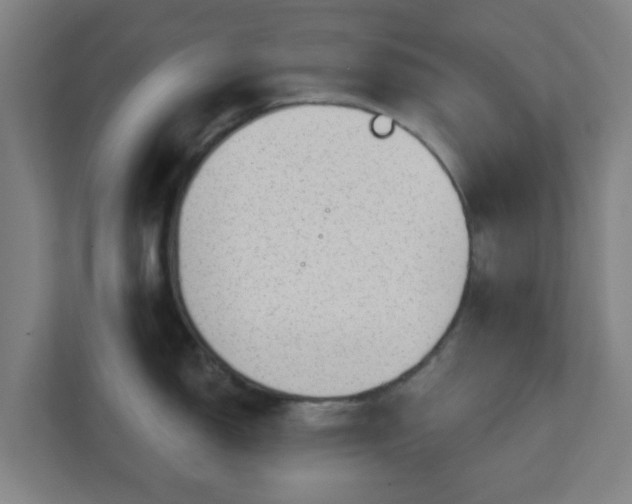 X0000110881150200906251243