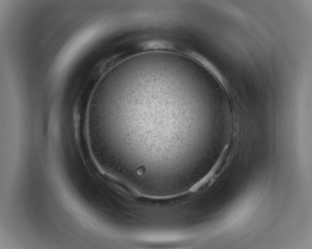 X0000110881151200906251243