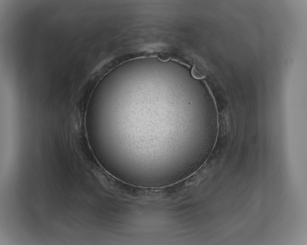 X0000110881158200906251243