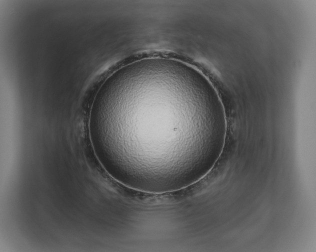 X0000110881159200906251243