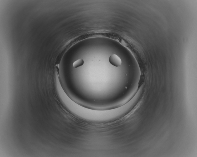 X0000110881161200906251243