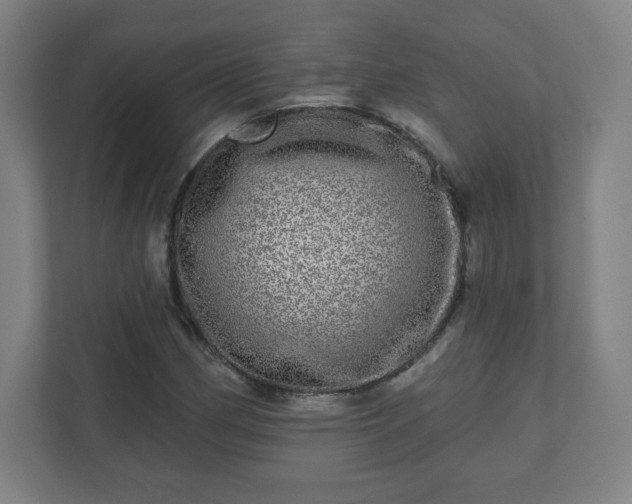 X0000110881162200906251243