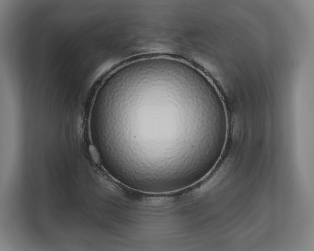 X0000110881163200906251243