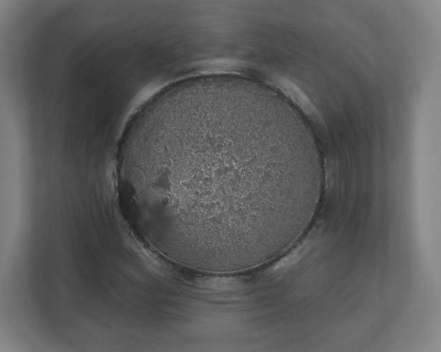 X0000110881164200906251243