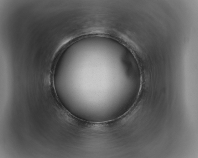 X0000110881166200906251243