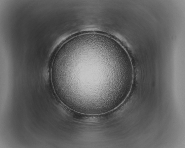 X0000110881167200906251243