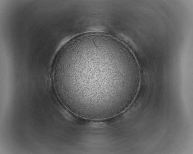 X0000110881168200906251243