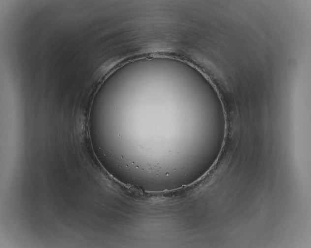 X0000110881169200906251243