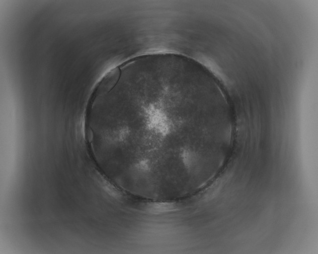 X0000110881173200906251243