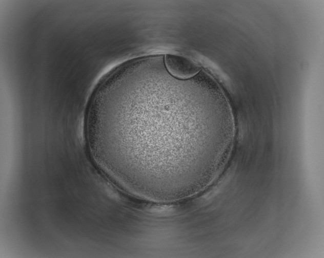 X0000110881174200906251243