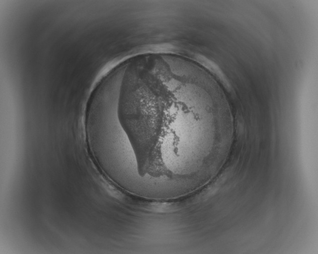 X0000110881176200906251243