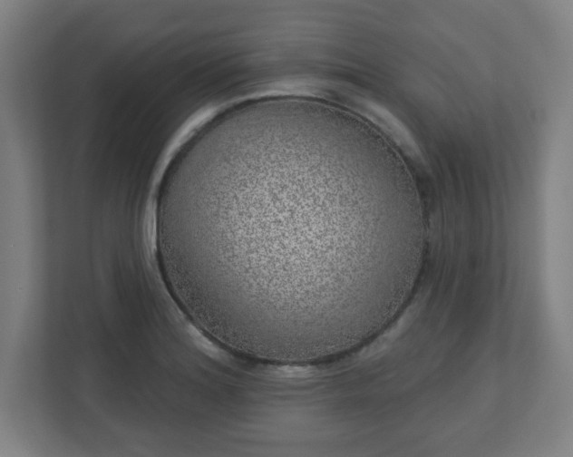 X0000110881180200906251243