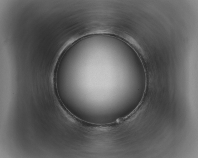 X0000110881181200906251243