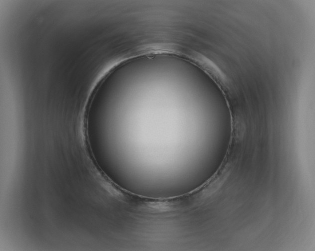 X0000110881182200906251242
