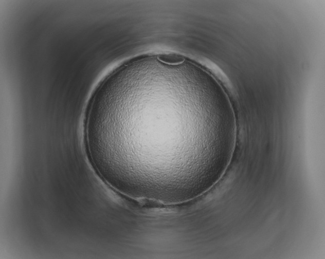 X0000110881183200906251242