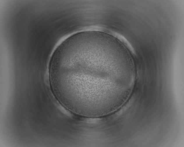 X0000110881184200906251242