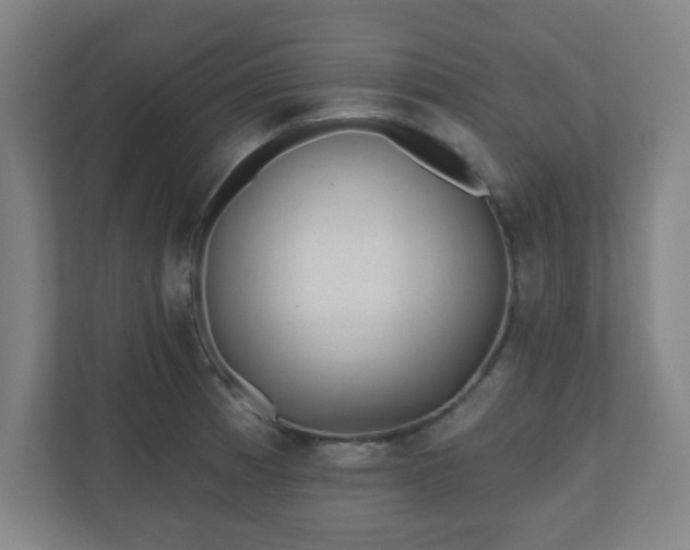 X0000110881185200906251242
