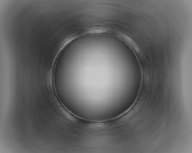 X0000110881186200906251242