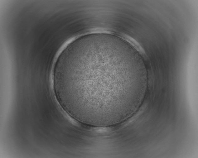 X0000110881188200906251242