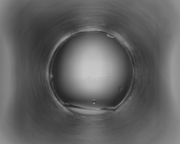 X0000110881189200906251242
