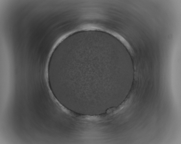 X0000110881191200906251242
