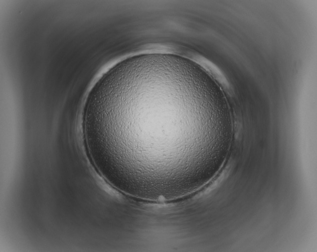 X0000110881192200906251242