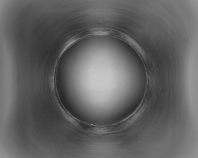 X0000110881194200906251242
