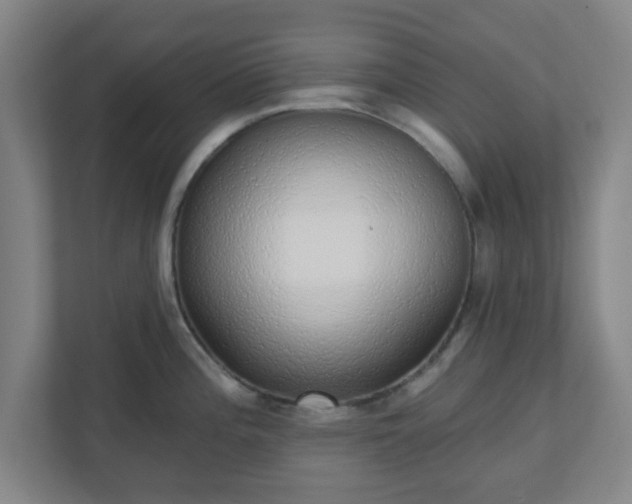 X0000110881196200906251242
