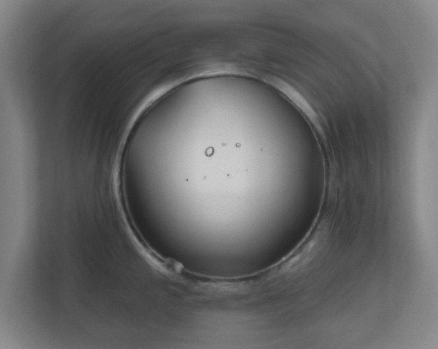 X0000110881197200906251242