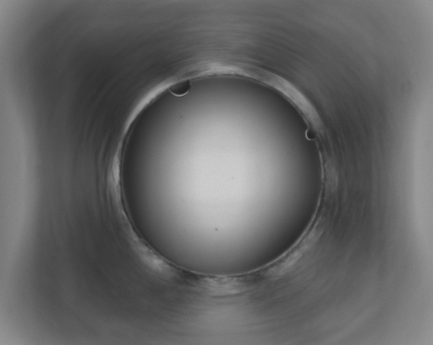 X0000110881198200906251242