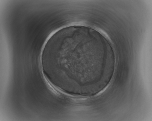 X0000110881200200906251242
