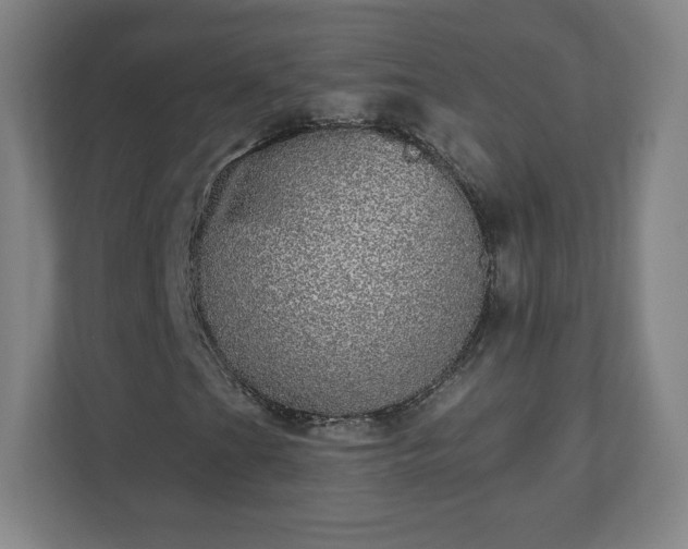 X0000110881201200906251242