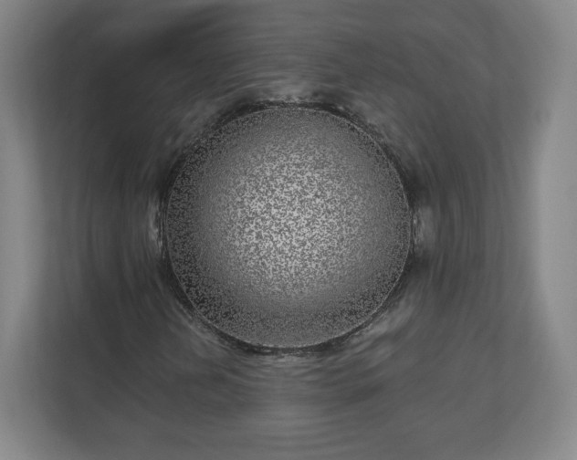 X0000110881202200906251242