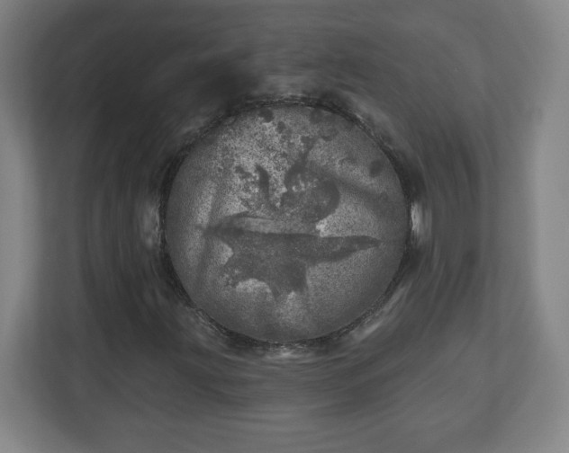 X0000110881203200906251242