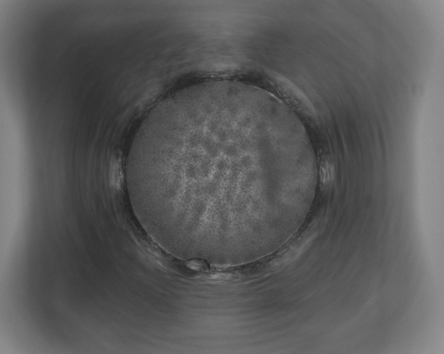 X0000110881204200906251242