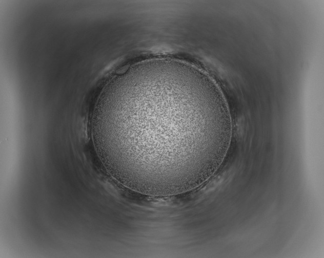 X0000110881205200906251242