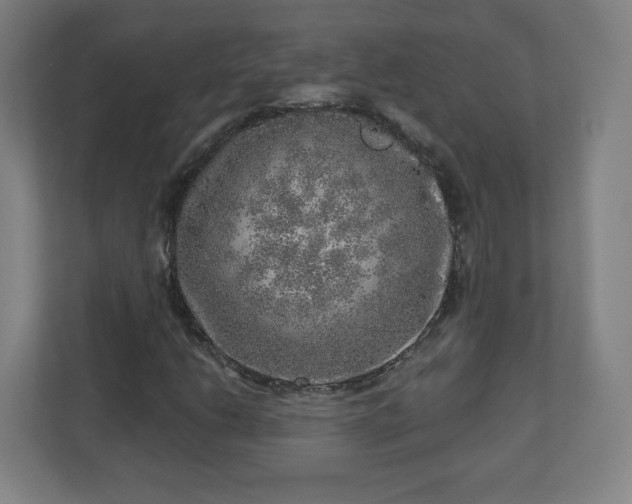 X0000110881206200906251242