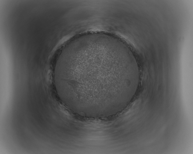 X0000110881207200906251242